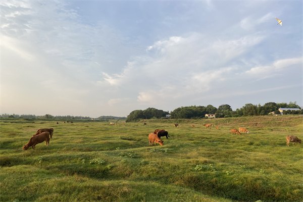 2023澳大利亞留學(xué)生住院費(fèi)用