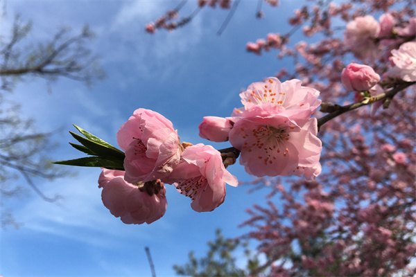 英國北安普頓大學(xué)1年制碩士春季正在招生中